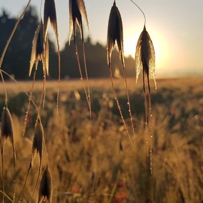 fillot84's profile picture. 