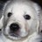 Agustin Jaime π²'s Twitter (X) avatar