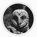 Discord für Autor*innen (@discord_autoren) Twitter profile photo