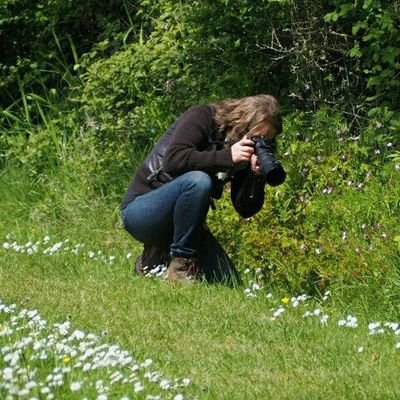 💚 wildlife/photography | Fritillary surveys on Dartmoor for BC & NT