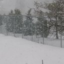 Joseph Brister - @JoeBrister - Twitter