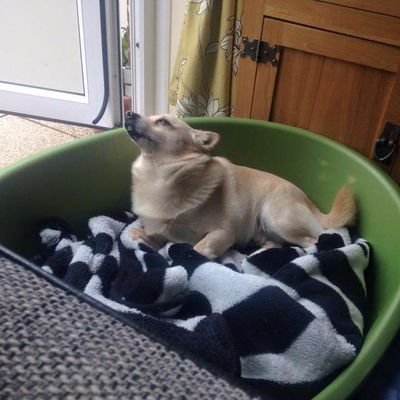 Christi64468323's profile picture. 