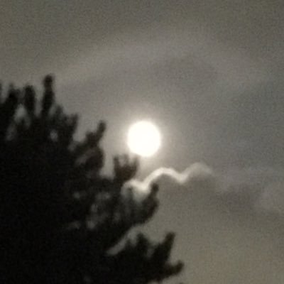 夜奔 逡巡してばかりで言葉を紡げない夜は お兄さまの造形美にひれ伏そう 指が長くて美しいのです Liuhaikuan 刘海宽 劉海寛