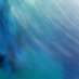 468973 (@vilo2324) Twitter profile photo 468973 (@vilo2324) Twitter profile photo