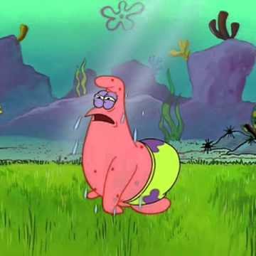 hmehnert18's profile picture. 