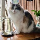 deb hyde - @debhyde10 - Twitter