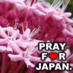 (@coco2a) Twitter profile photo (@coco2a) Twitter profile photo