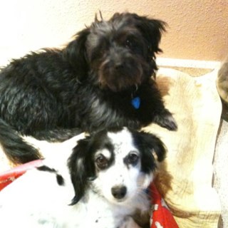 gloria_1976's profile picture. 