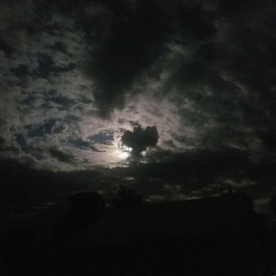 Greycloud369's profile picture. The misinformed drunkard.