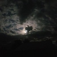 Greycloud (@greycloud369) 's Twitter Profile