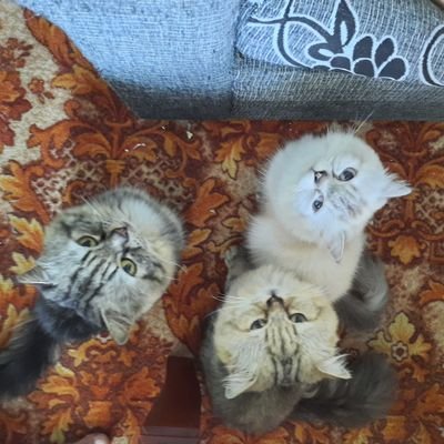 unclelum76's profile picture. Circle of Life.