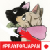 山下和美 (ツイステッド・シスターズ⑦発売中) (@kazumiyamashita) Twitter profile photo 山下和美 (ツイステッド・シスターズ⑦発売中) (@kazumiyamashita) Twitter profile photo