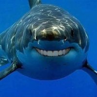 ahmed Abdelaziz (@ahmedab86340360) 's Twitter Profile