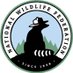 Public Lands (@OurPublicLands) Twitter profile photo