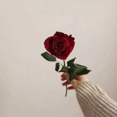 Nagamshhd's profile picture. كل كسر الجأك إلى الله هو جبرٌ وإن أوجَعَك ...