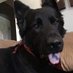 DAnna ˜”*°•.˜”*°• 🌜⭐️❤️⭐️😋🌛•°*”˜.•°*”🧡💙🧡💙🦅 (@d_anna01) Twitter profile photo DAnna ˜”*°•.˜”*°• 🌜⭐️❤️⭐️😋🌛•°*”˜.•°*”🧡💙🧡💙🦅 (@d_anna01) Twitter profile photo