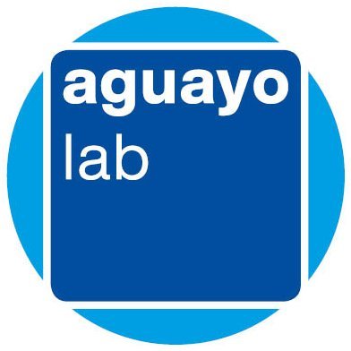 AguayoLab's profile picture. Accesibilidad e inclusión.