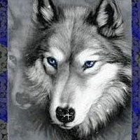 @estepariolobo 8 (@reynaldopradil1) 's Twitter Profile Photo @estepariolobo 8 (@reynaldopradil1) 's Twitter Profile Photo