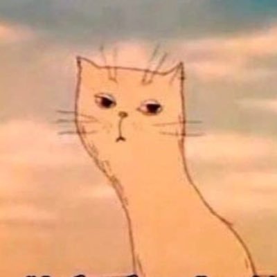 shbxdxdd666's profile picture. 