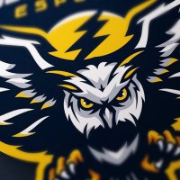 Disconnected Esports(@Disconnected_GG) 's Twitter Profile Photo