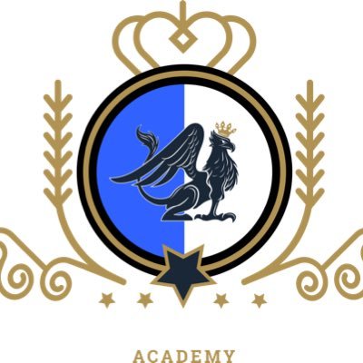 vpgstarz's profile picture. academy of @play_visionary