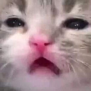 Bwwwさんのプロフィール画像