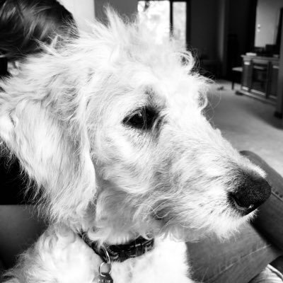 MrD_TVDSB's profile picture. Secondary Teacher for the @TVDSB! #MusEd #mathed