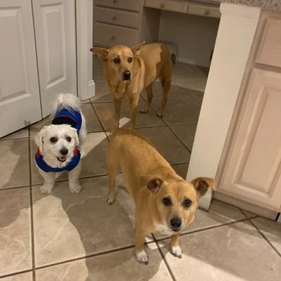 CaseyBrownie_18's profile picture. 