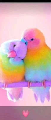 KakraAmoah's profile picture. @hamandeh_positivity always