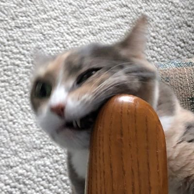 ALTTPR, retro speedruns + puzzle games https://t.co/nZ4Vbmt6Ru