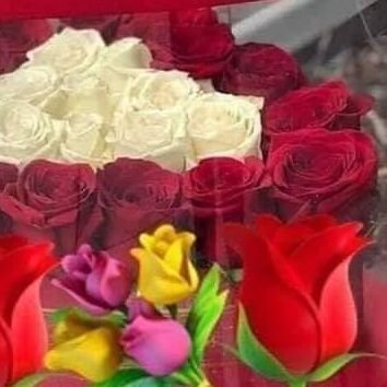 FCelltech's profile picture. 