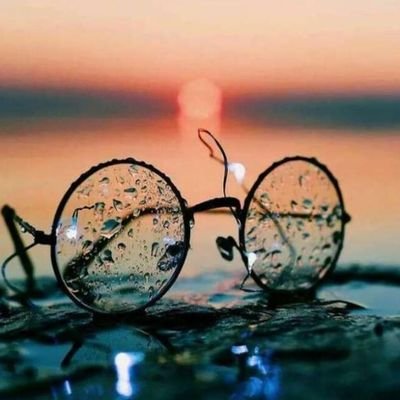bikidas25228027's profile picture. biki