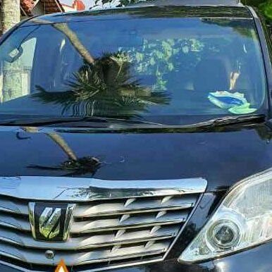 Adi34760191's profile picture. Aditenda menyewakan alat2 pesta