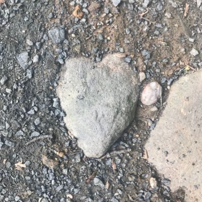 mell_patri's profile picture. Be kind to each other. The L in the LGBTQ. 🏳️‍🌈