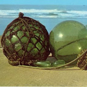 oceancandy_'s profile picture. 45, she/her, queer, ADHD