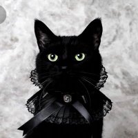 sir isaac mewton wants to hiss at you (@isaacmewton_) 's Twitter Profile