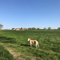 HelenAtkins (@helensatkins) 's Twitter Profile