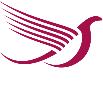 spiritonepdx's profile picture. Local ISP in Portland Oregon