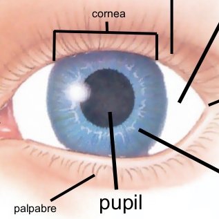 Ultraista63's profile picture. Lector de twitter