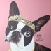 Jules Jewels (@julesjewels13) Twitter profile photo Jules Jewels (@julesjewels13) Twitter profile photo