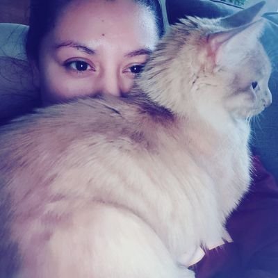 JssyKn's profile picture. Aplicando las buenas prácticas del UX en mis gatos,
