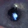 ScottTrashtalk's profile picture. 