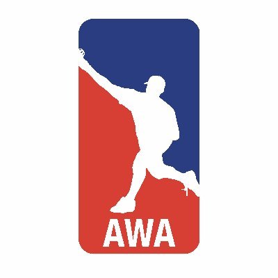 🔴Official Account of AWA Wiffle Ball🔴 1.8M+ followers across platforms | #dingersornothing