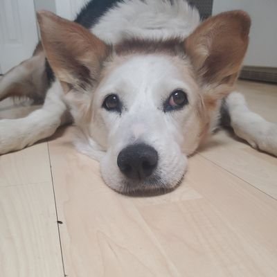 Kenton_Martz's profile picture. Trying to keep my head above water.