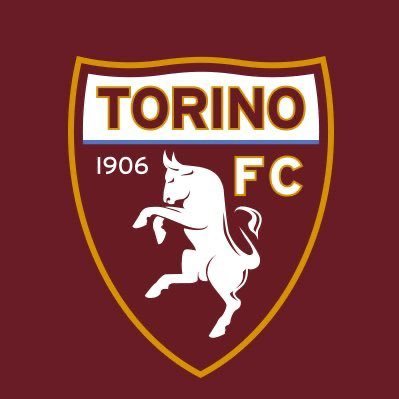 Torino FTFC