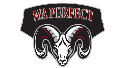 WAPerfect's profile picture. #WAPerfect
