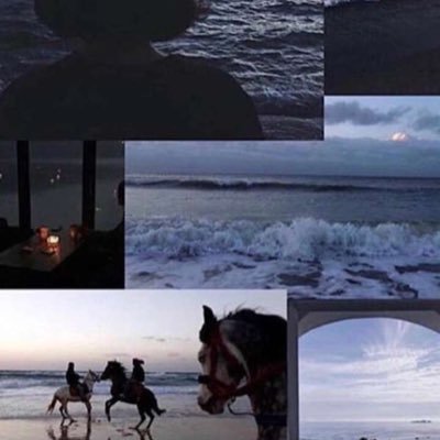 q_c5i's profile picture. 