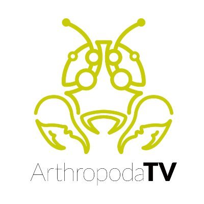 ArthropodaTV es un canal de divulgación de ciencia plural, el puente entre la sociedad y los investigadores. ¡Tenemos mucho por aprender de los artrópodos!