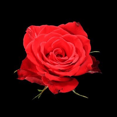 _Fulcrum_1's profile picture. ^v^