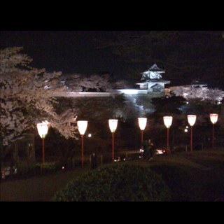 lovemachine7's profile picture. 